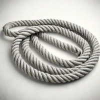 Rx Fitness Equipment Battle Rope