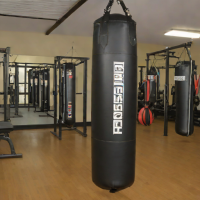 Ringside Heavy Bag - 100lb