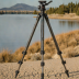 Really Right Stuff TVC-24L Mk II Tripod