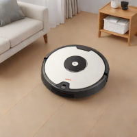 Roborock E4