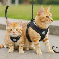 Rabbitgoo Cat Harness and Leash Set