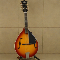 Recording King RO-T6 Mandolin