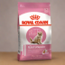 Royal Canin Kitten Dry Food