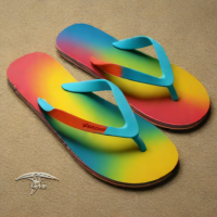 Rainbow Flip Flops