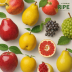 Ripe: A Year in Search of Ripe Fruit
