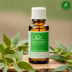 Rocky Mountain Oils Eucalyptus Essential Oil