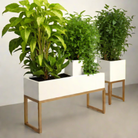 RootGuard Elevated Planters