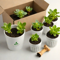Rootopia Seed Starter Kit