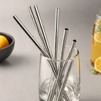 Simplehuman Stainless Steel Straws (Set of 4)