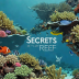Secrets of the Reef