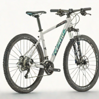 Specialized Crosstrail