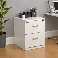 Staples Brand 2-Drawer File