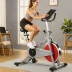 Sunny Health & Fitness SF-B1020