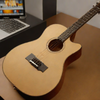 Seagull Maritime SWS GT Acoustic Guitar