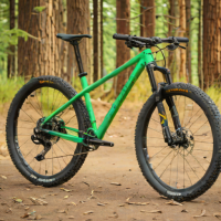 Santa Cruz Chameleon