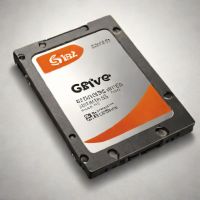 SanDisk Professional G-Drive SSD (Thunderbolt)