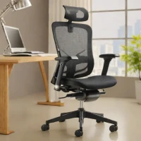 Sihoo Doro C300