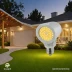 Sansi PAR20 LED Bulb