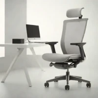 SIDIZ T50