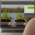 Self-Watering Planter (Wick System)