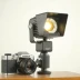Securifi Almond Floodlight Camera