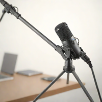 Sony ECM-C-MQ10