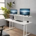 Secretlab Magnus Pro Standing Desk