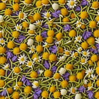 Stash Tea Chamomile Medley