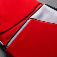 SwissGear Laptop Case