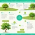 Sapling Learning Paths