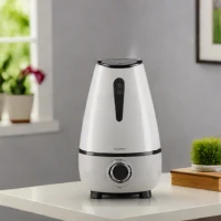 Sunbeam SBT340-033 Cool Mist Humidifier