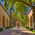 Stanford University