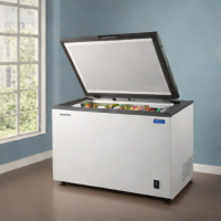 Samsung 18 cu. ft. Smart Chest Freezer