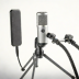 sE Electronics X2