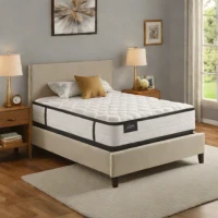 Signature Sleep Essential Foam Mattress