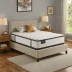 Signature Sleep Essential Foam Mattress