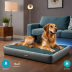 Sealy Lux Quad Layer Orthopedic Dog Bed