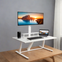 StandSteady Pro Converter