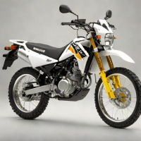 Suzuki DR-Z400S
