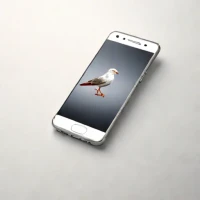 Seagull Stargazer