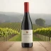 Switchback Ridge Cabernet Sauvignon