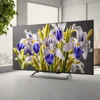 Sony A84L OLED
