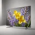 Sony A8G OLED