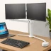 SilverStone ARM22 Dual Monitor Arm