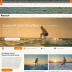 Surfer Content Editor