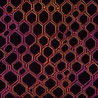 Signature Sleep Memoir