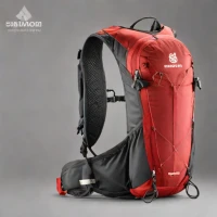 Salomon Sense Pro 10