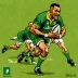 South Africa Springboks