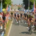 Schaal Sels