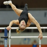 Seitz (Bars)